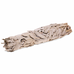 Vykurovadlo - Biela šalvia zväzok M 12cm - nebalený Vykurovadlo - Biela šalvia zväzok M 12cm - nebalený